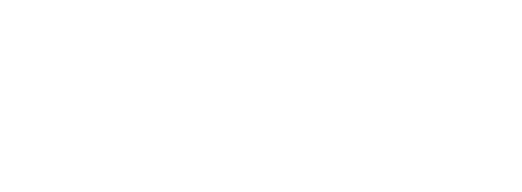 Logo bona venture blanc
